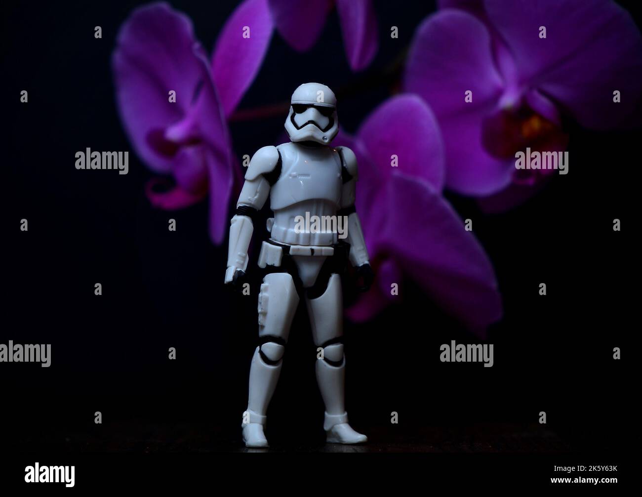Una figura di stormtrooper dalle guerre stellari su uno sfondo con orchidee viola Foto Stock