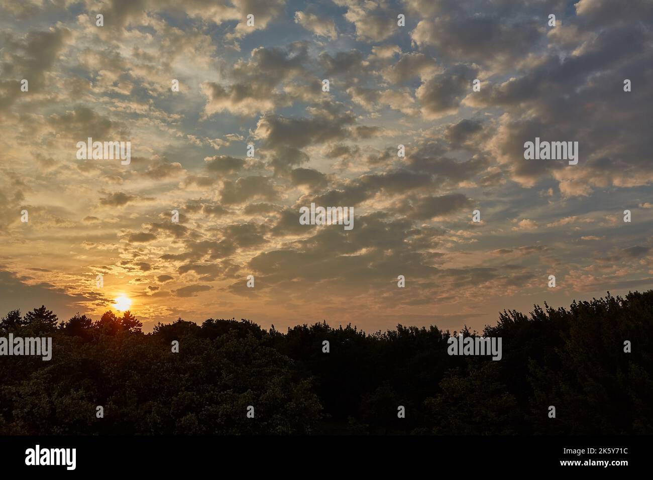 Tramonto su alberi lontani Foto Stock