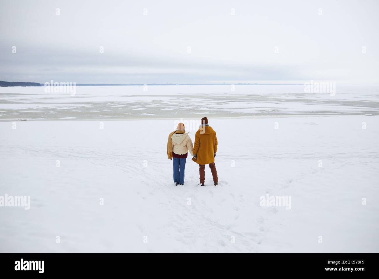 Ripresa grandangolare di giovani coppie in piedi dal mare ghiacciato e con vista sul paesaggio invernale minimo, spazio copia Foto Stock