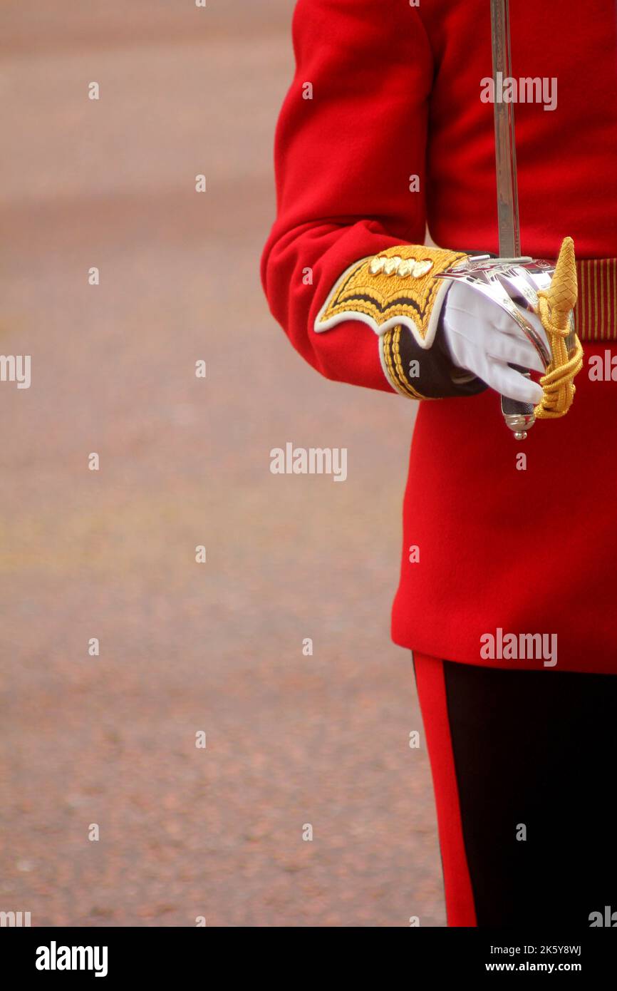 Guardsman nel Mall durante la Trooping del colore Londra Inghilterra Foto Stock