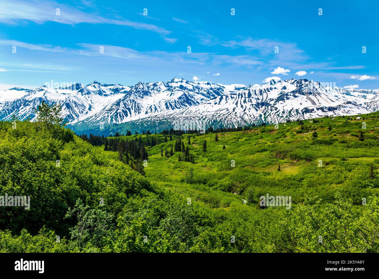 Vista a ovest dall'autostrada Haines verso il Tatshenshini-Alsek Provincial Park & Alsek Range; Alaska; USA Foto Stock