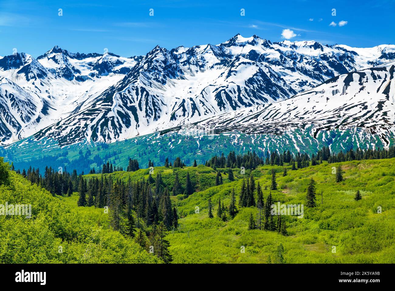 Vista a ovest dall'autostrada Haines verso il Tatshenshini-Alsek Provincial Park & Alsek Range; Alaska; USA Foto Stock