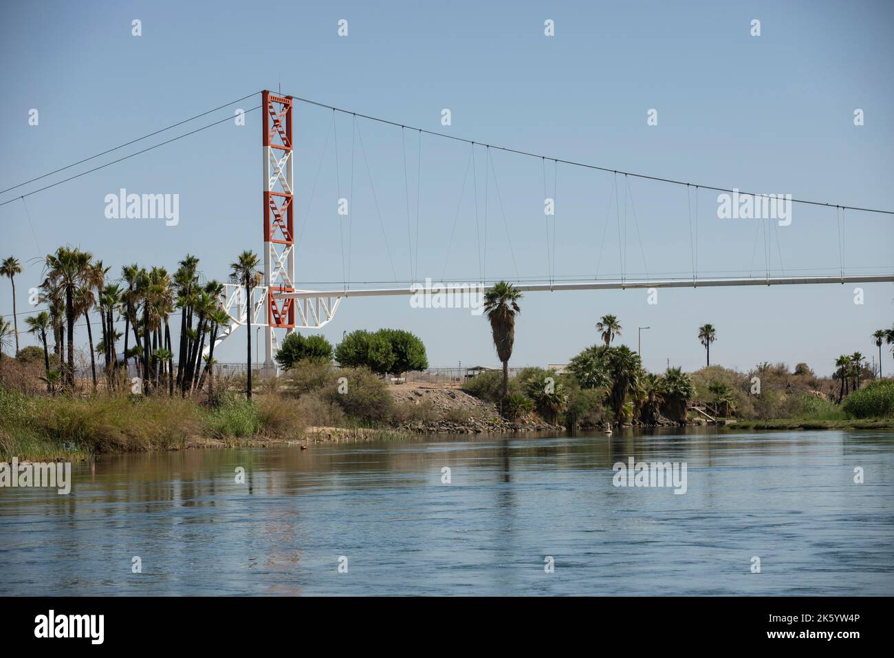 Palme e un ponte incorniciano il fiume Colorado mentre scorre attraverso il confine tra California e Arizona, USA. Foto Stock