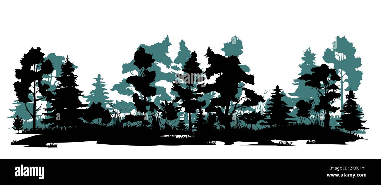 Bordo paludoso della foresta. Foresta di conifere con abeti e pini. Paesaggio con alberi ed erba. Immagine della silhouette. Isolato su sfondo bianco. Vettore Illustrazione Vettoriale