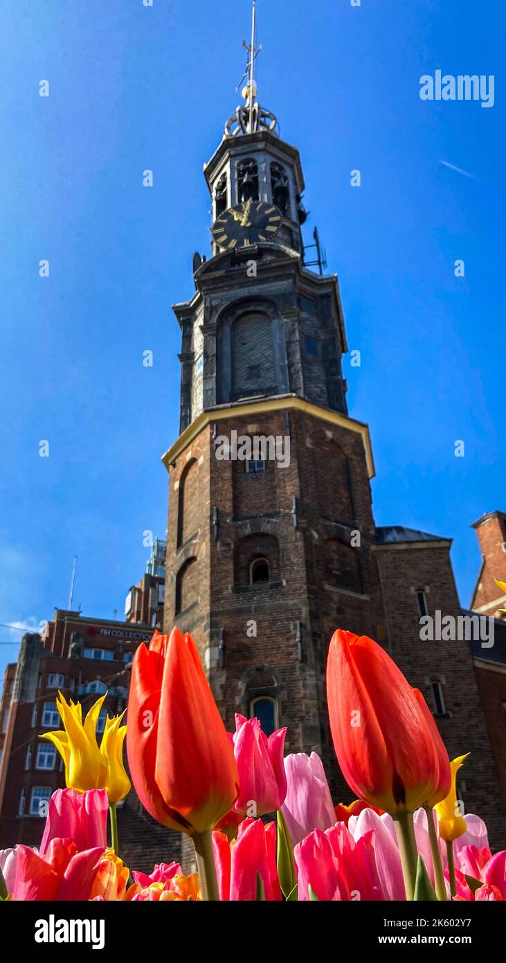 Amsterdam, aprile 2022. Fotografo: ALE Espaliat Foto Stock