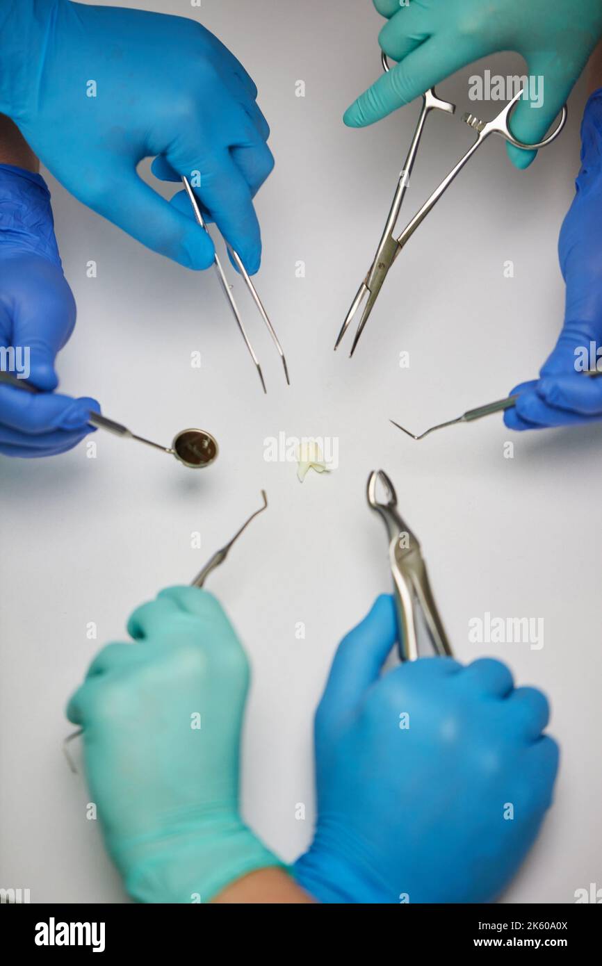 Igiene orale dentale. I dentisti tengono la varietà di attrezzi metallici per l'odontoiatria medica intorno ad un dente. Primo piano delle mani dei dentisti nei guanti che trattengono l'ammaccatura Foto Stock
