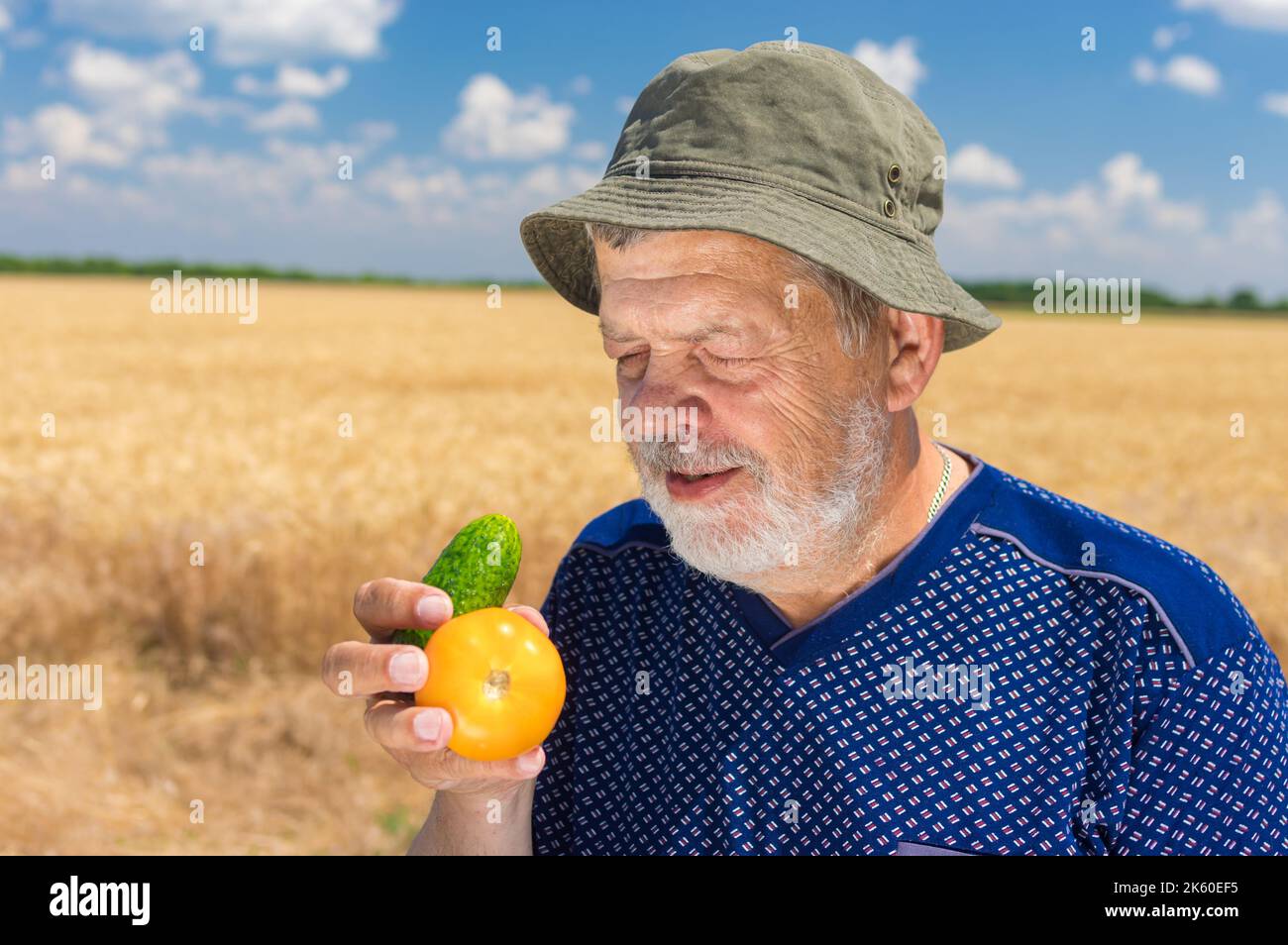 Ritratto di anziano ucraino anziano che prende in mano e pronto a mangiare cetriolo e pomodoro giallo in piedi contro il campo con grano maturo Foto Stock