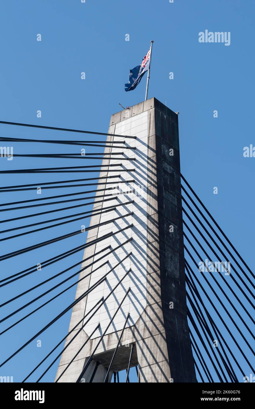 Una delle torri dell'Anzac Bridge a Pyrmont, Sydney, Australia che mostra i massicci cavi in acciaio Foto Stock