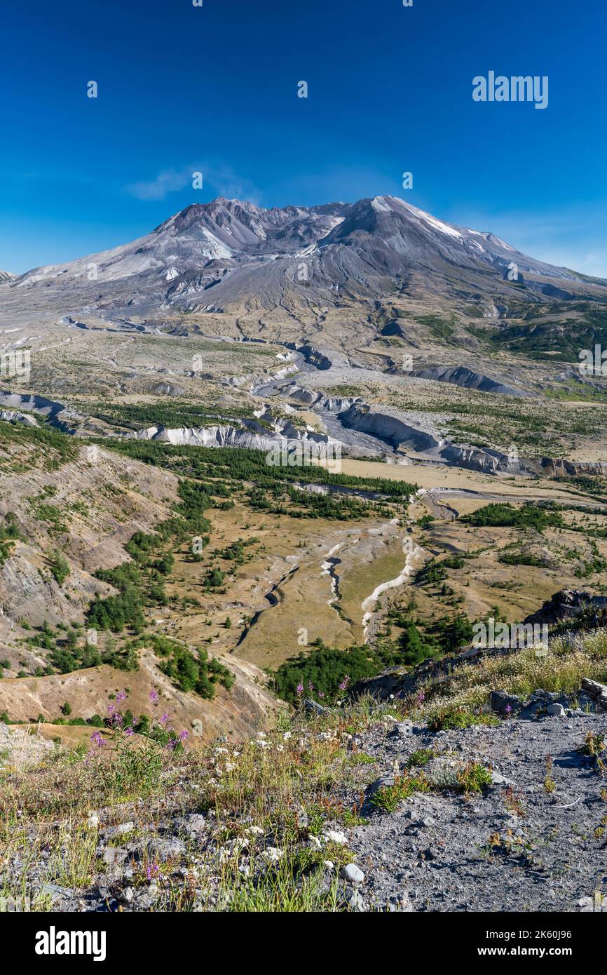 Vista panoramica su Mount St. Helens, Skamania County, Washington, Stati Uniti Foto Stock