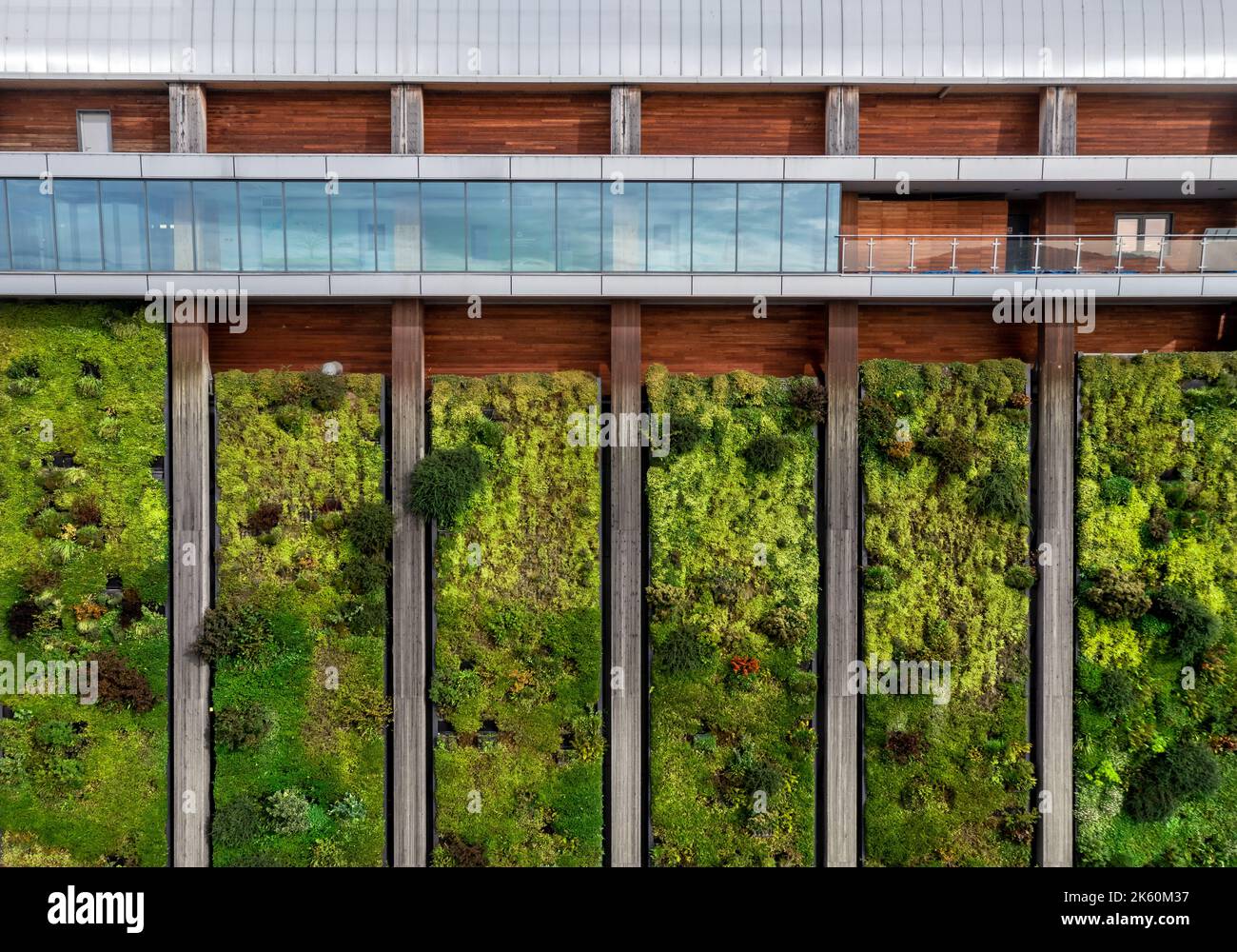 L'esterno di un grande edificio industriale con piante e fauna che crescono sul suo lato su un muro vivente per zero netto e carbonio neutro concetto Foto Stock