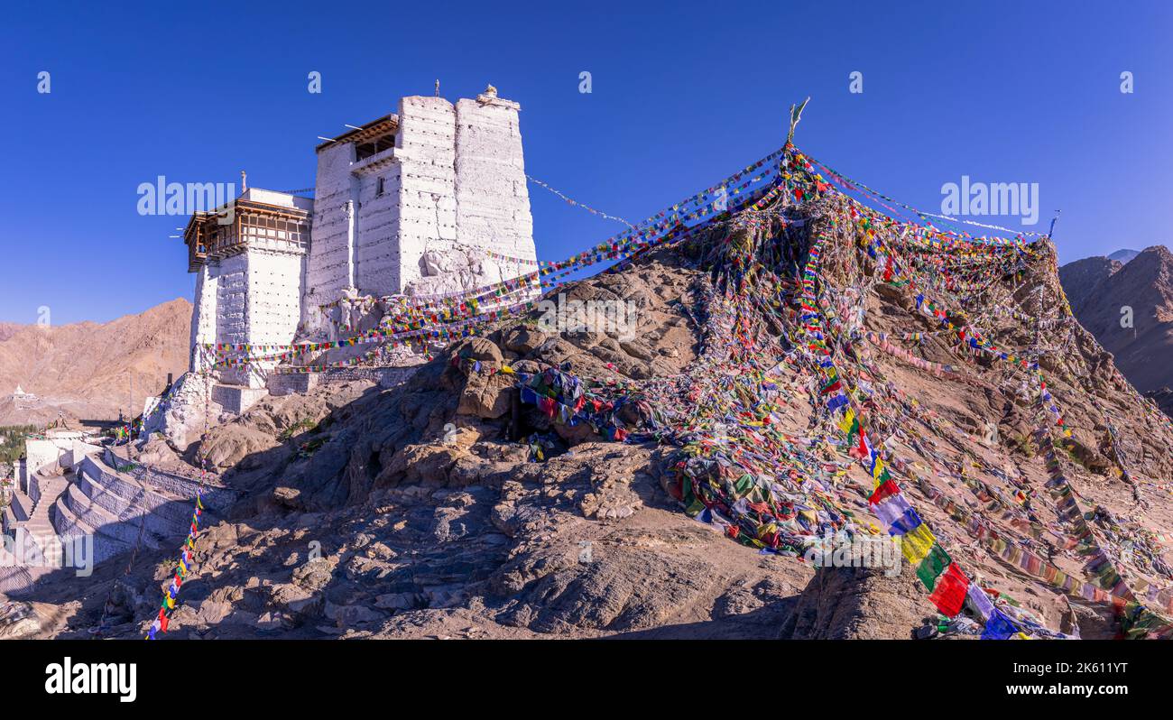 Namgyal Tsemo Gompa, Leh, Ladakh, Kashmir India Foto Stock