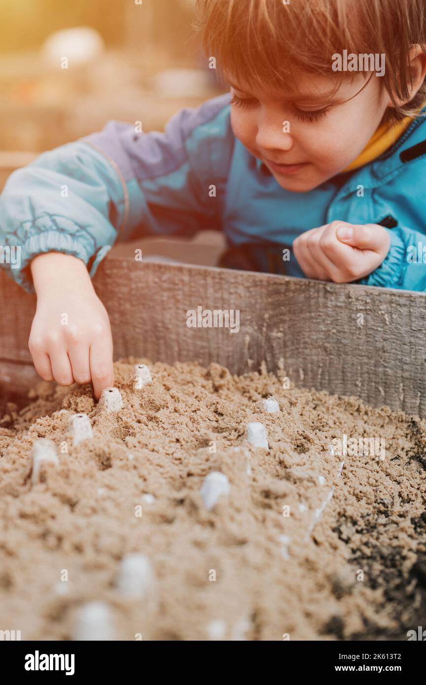 primavera piantando semina in giardino di fattoria. piccolo bambino di sei anni giovane coltivatore piante giardiniere e seminare semi vegetali in suolo in bed. giardinaggio e iniziare Foto Stock