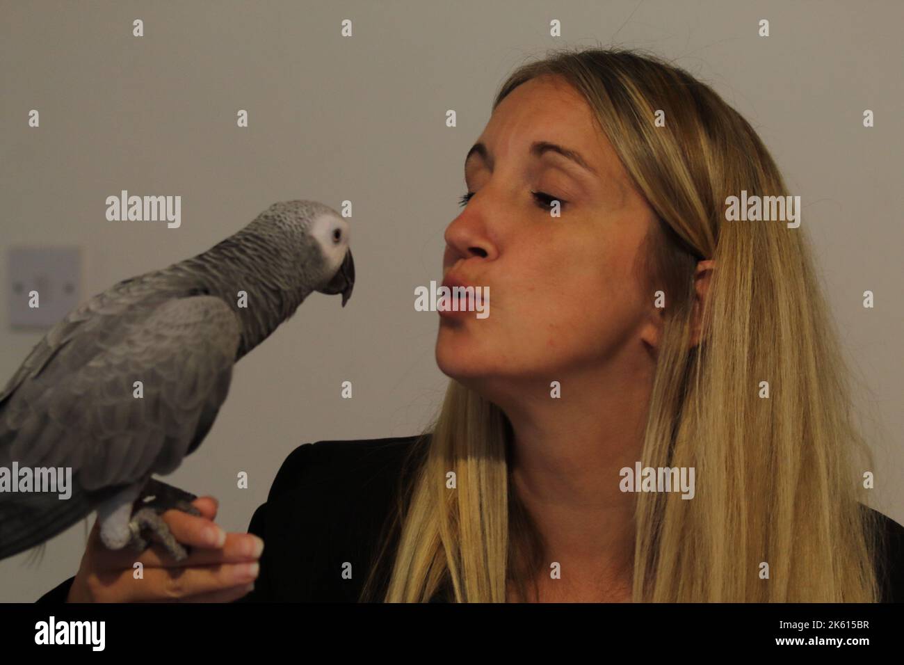 Un primo piano di una bella donna che bacia il suo adorabile pappagallo grigio Foto Stock