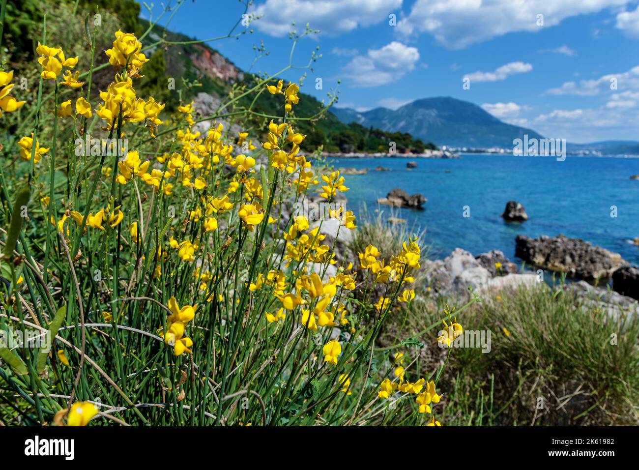 Splendidi paesaggi marini, montagne e natura in Montenegro Foto Stock