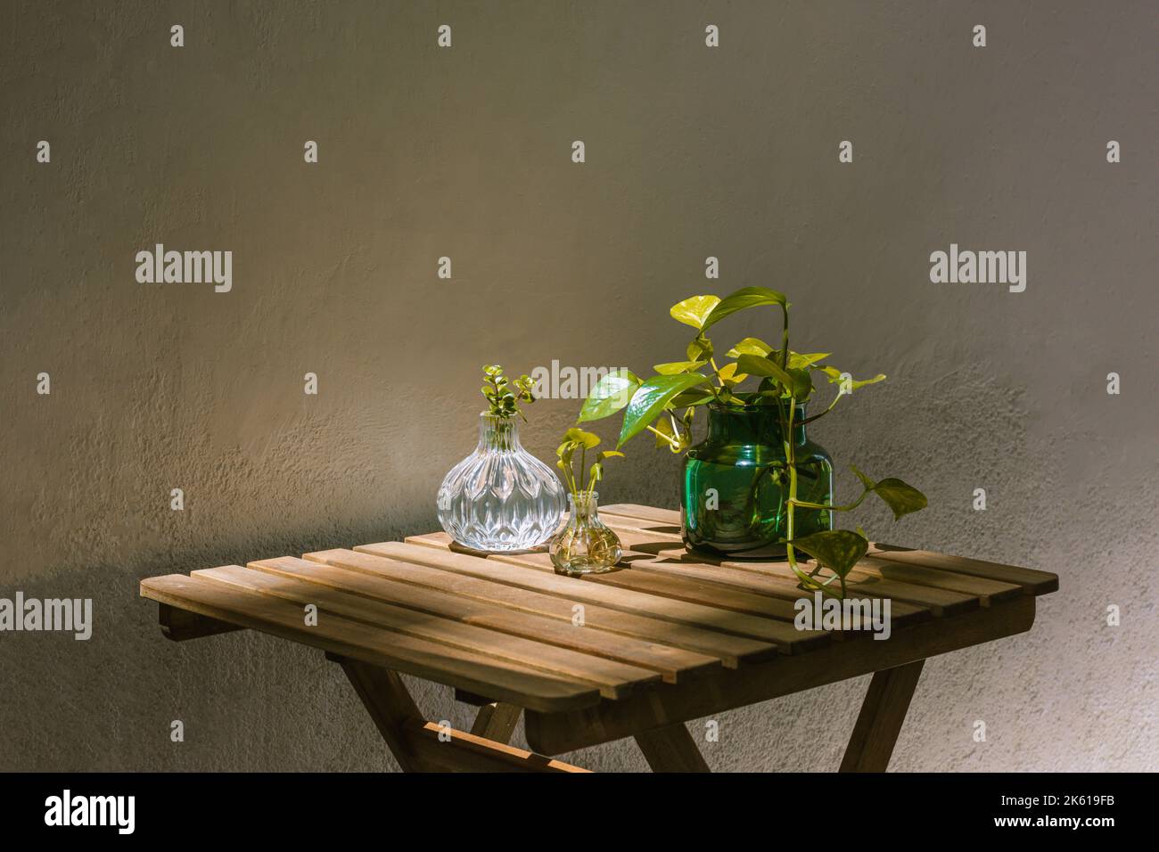 Composizione di varie piante verdi fresche in vasi di vetro di diverse forme e dimensioni disposti su un tavolo di legno vicino a una parete bianca in terrazza Foto Stock