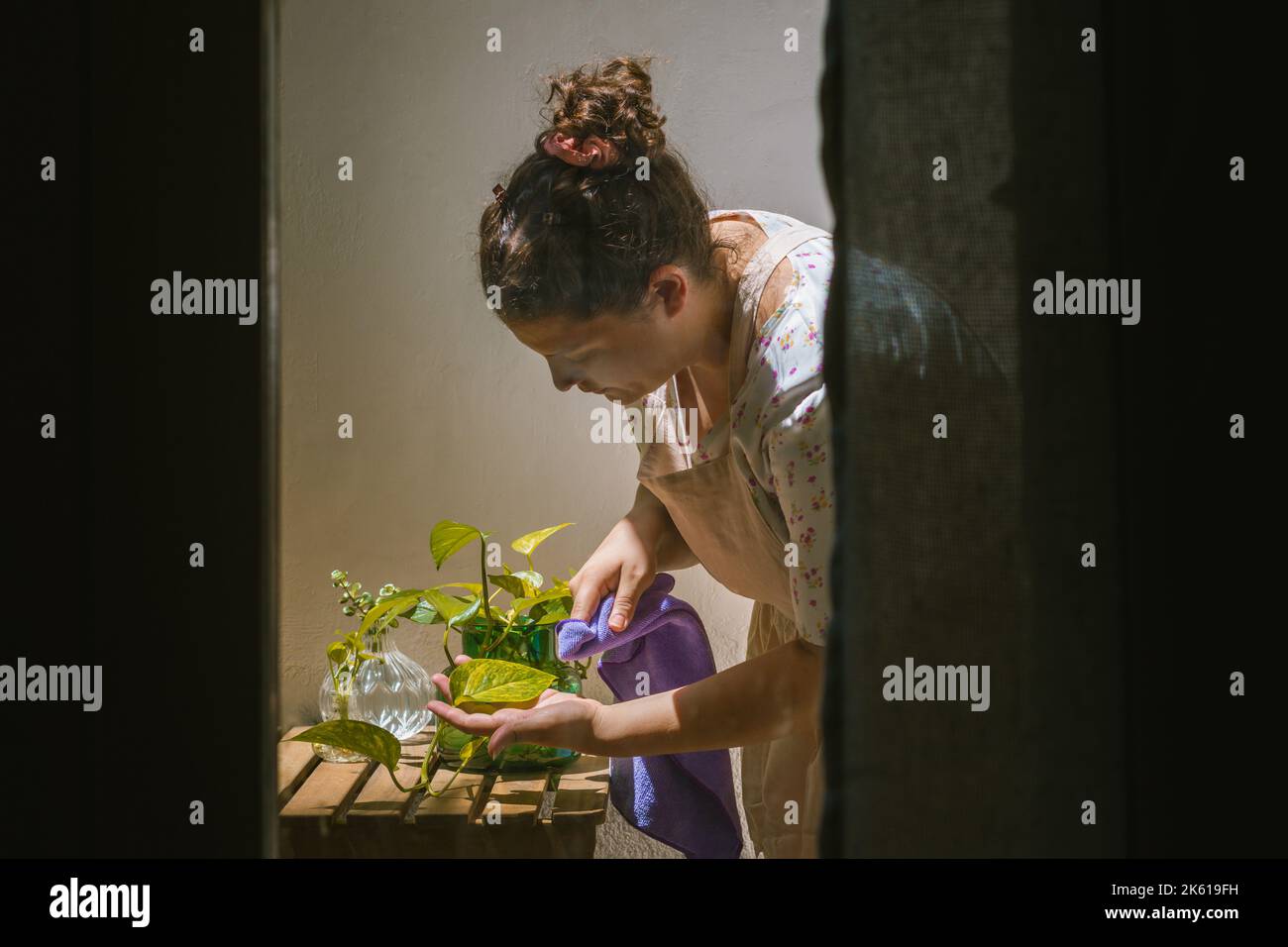 Raccolto femmina di mezza età in grembiule cura di piante verdi fresche in vasi di vetro in terrazza Foto Stock