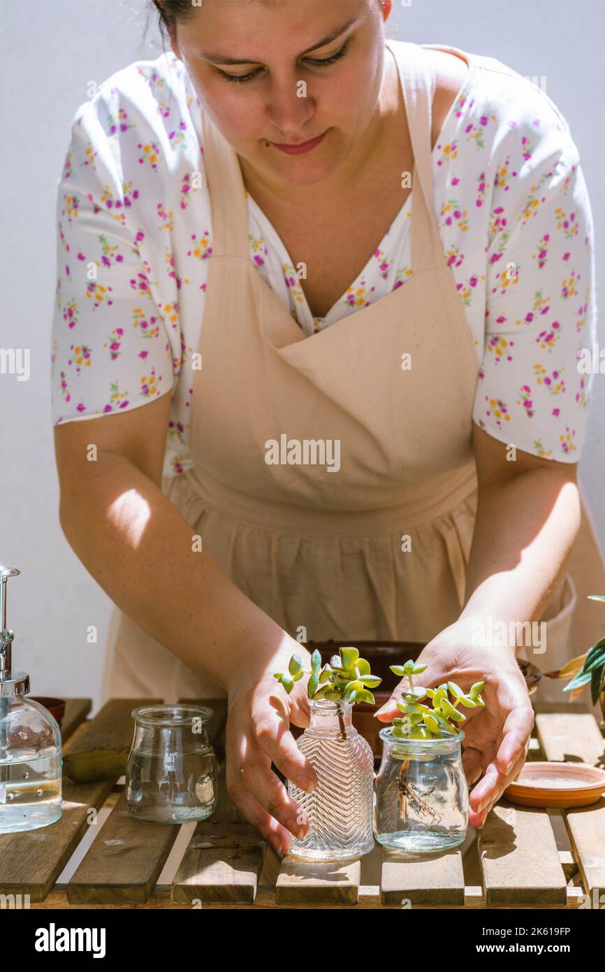 Raccolto concentrato adulto giardiniere femminile in vestito e grembiule disposizione vasi di vetro con dolci germogli di pianta su tavola di legno il giorno di sole Foto Stock