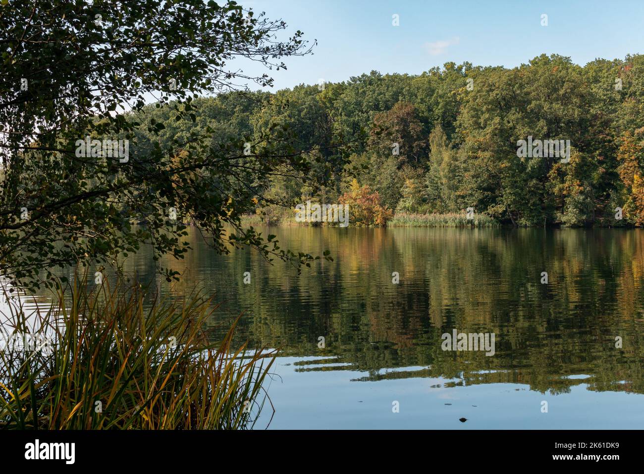 Lago Schlachtensee, Berlino Foto Stock