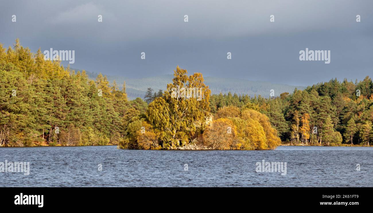 Loch an Eilein Aviemore foglie colorate in autunno coprire la piccola isola e il castello nel lago Foto Stock