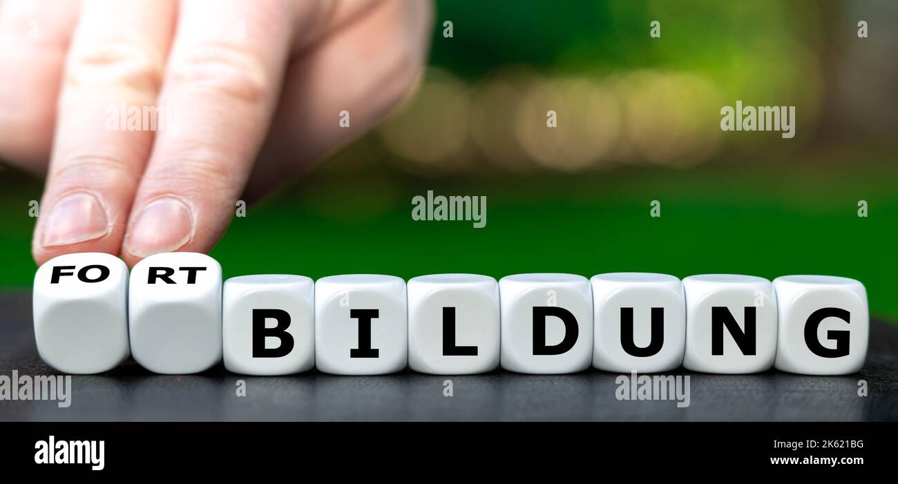 I dadi formano l'espressione tedesca Fortbildung (formazione). Foto Stock