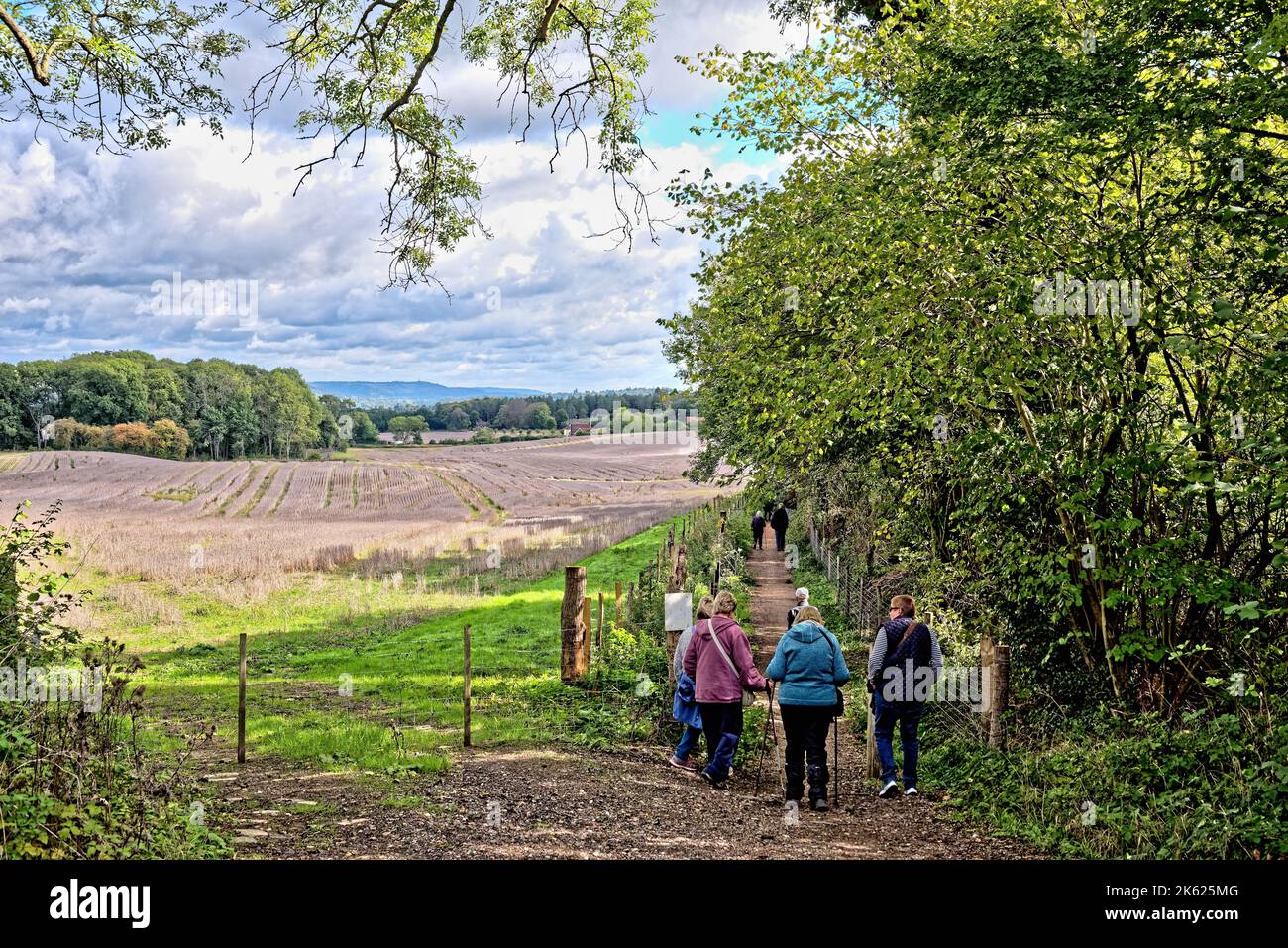 Un gruppo di anziani che camminano lungo un sentiero pubblico nelle Surrey Hills in una soleggiata giornata autunnale vicino a Dorking England UK Foto Stock