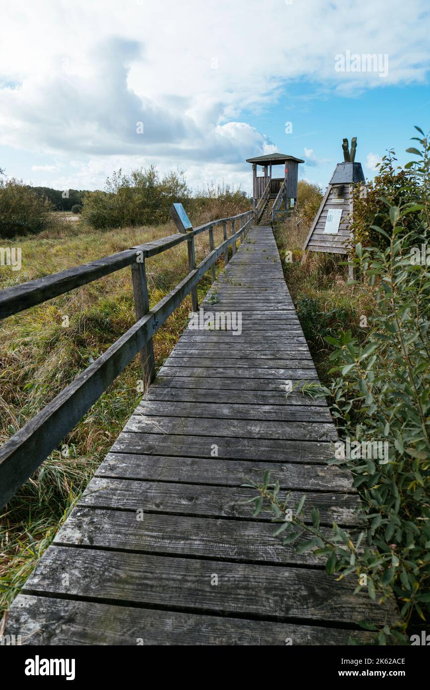 Sentieri in legno con bacheche informative nella lontra biotope Lunestedt vicino a Beverstedt. Foto Stock