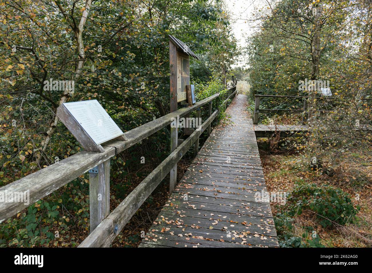 Sentieri in legno con bacheche informative nella lontra biotope Lunestedt vicino a Beverstedt. Foto Stock