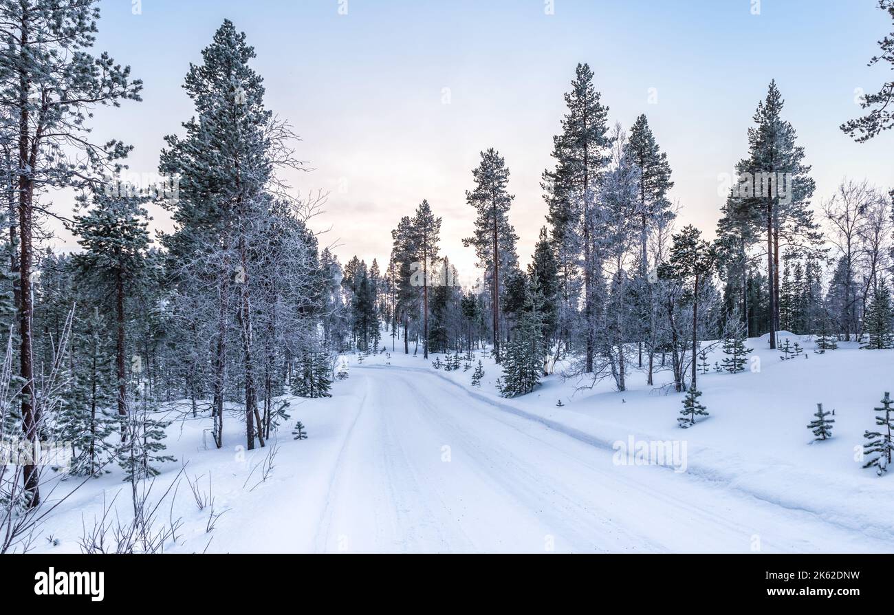 Paesaggio invernale con strada innevata tra gli alberi. Finlandia, Scandinavia. Foto Stock