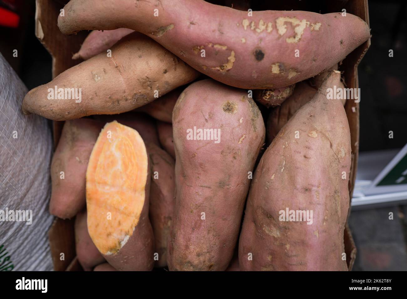 Profondità di campo ridotta (focalizzazione selettiva) dettagli con patate dolci in un mercato agricolo europeo. Foto Stock