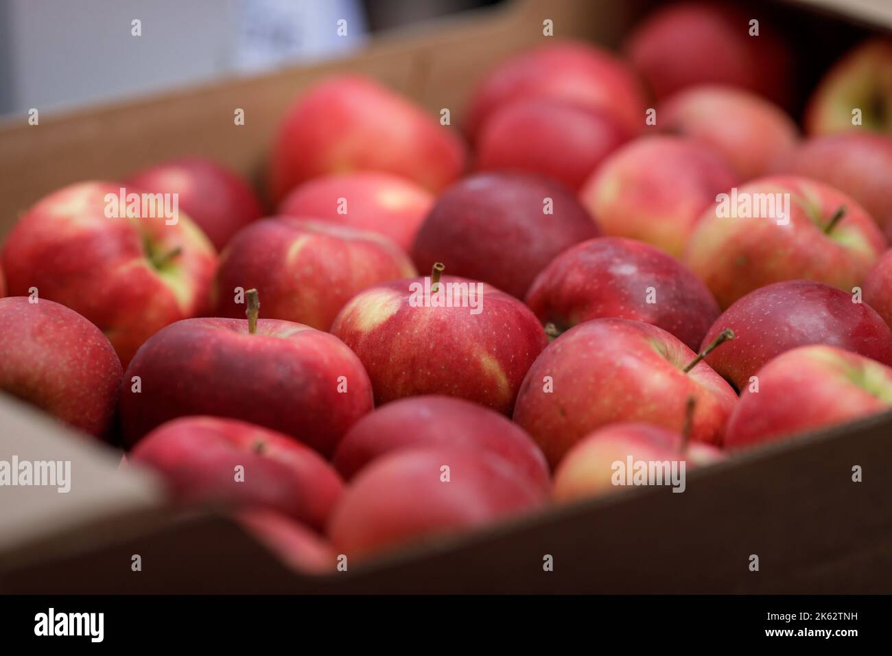 Profondità di campo ridotta (fuoco selettivo) dettagli con mele rosse in un mercato agricolo europeo. Foto Stock