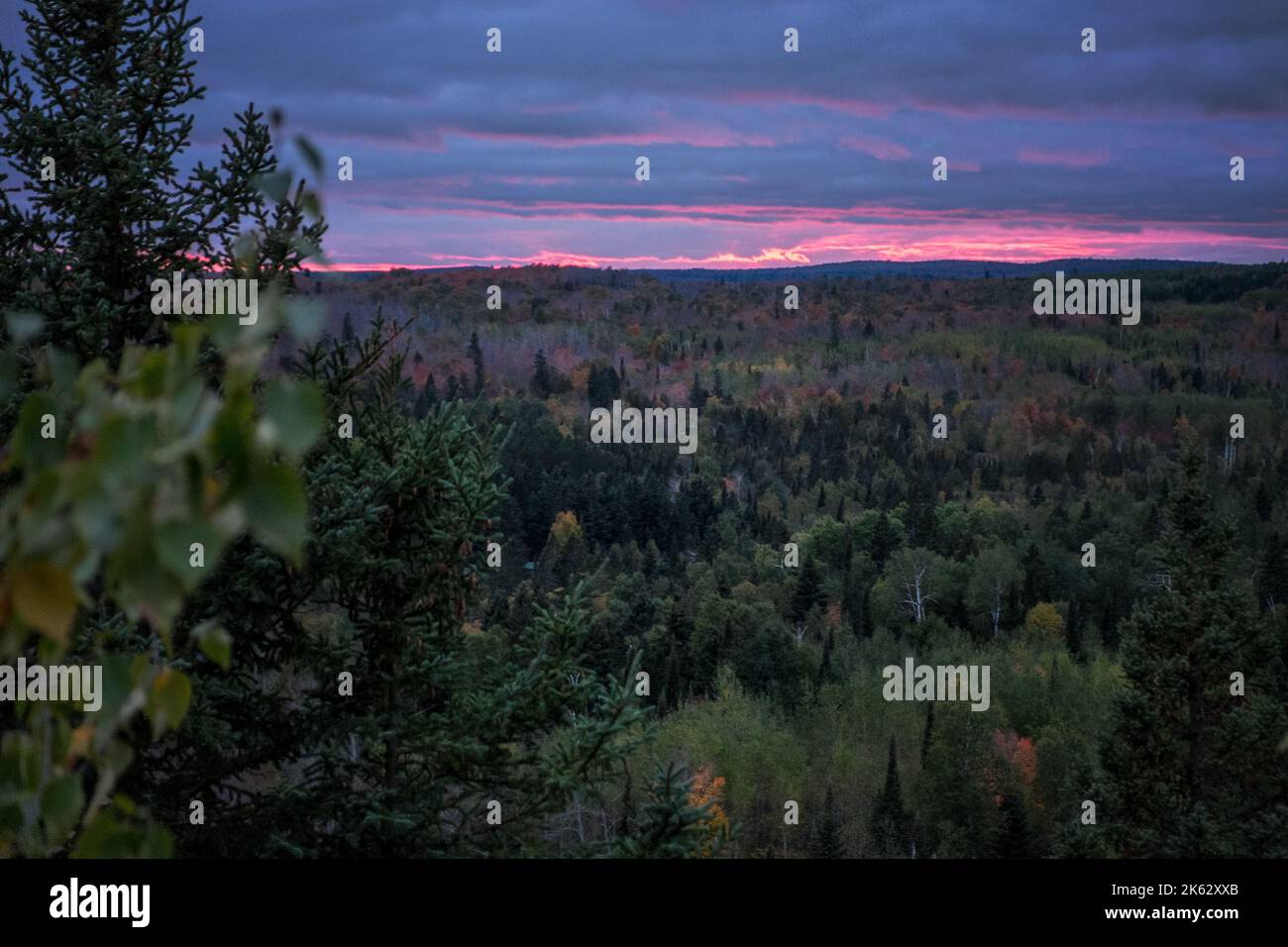 Finlandia state Forest, Minnesota settentrionale, Stati Uniti, nuvole rosa al tramonto da un punto panoramico nella foresta del Nord Foto Stock