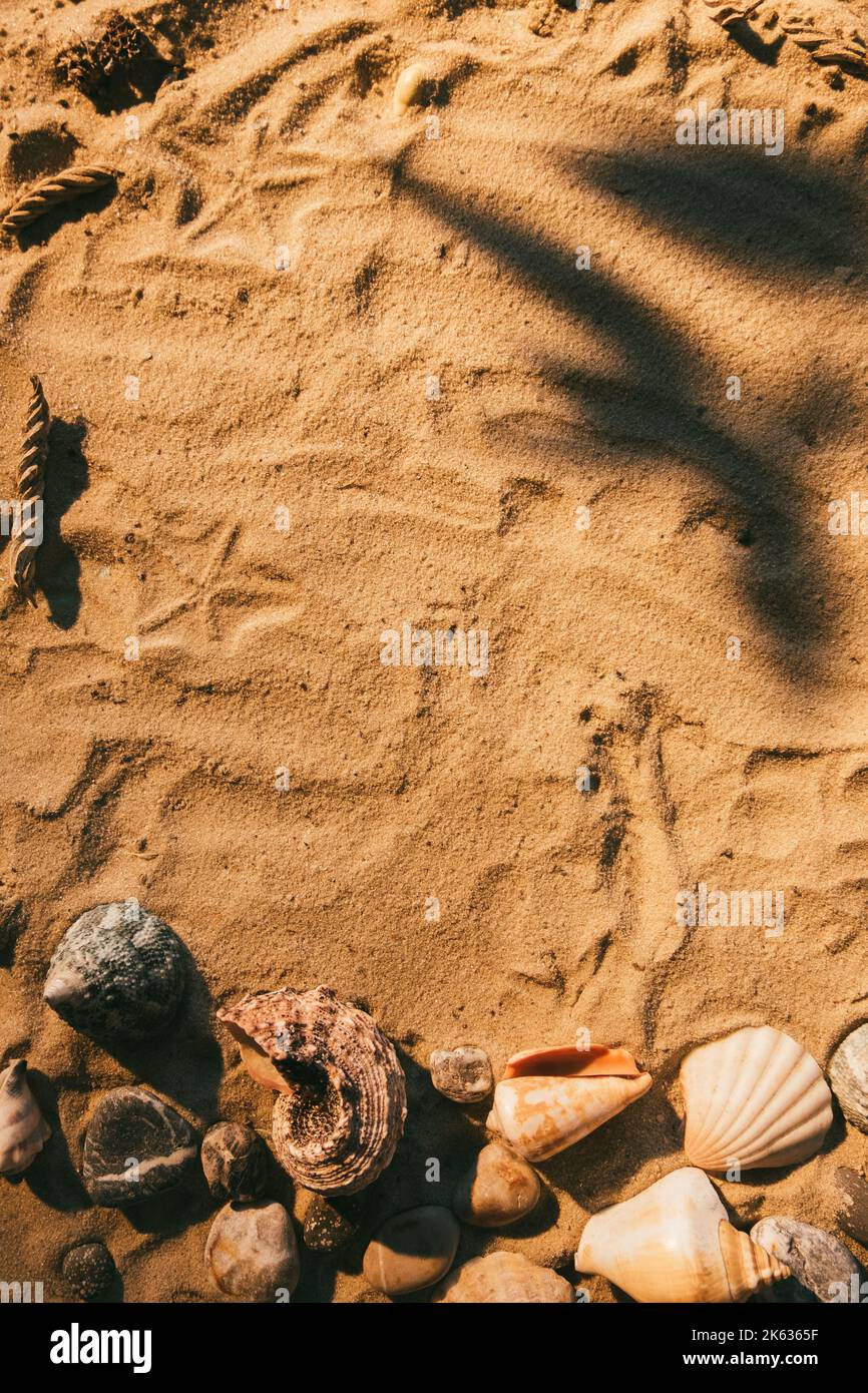 sabbia fondo estate spiaggia conchiglia composizione Foto Stock