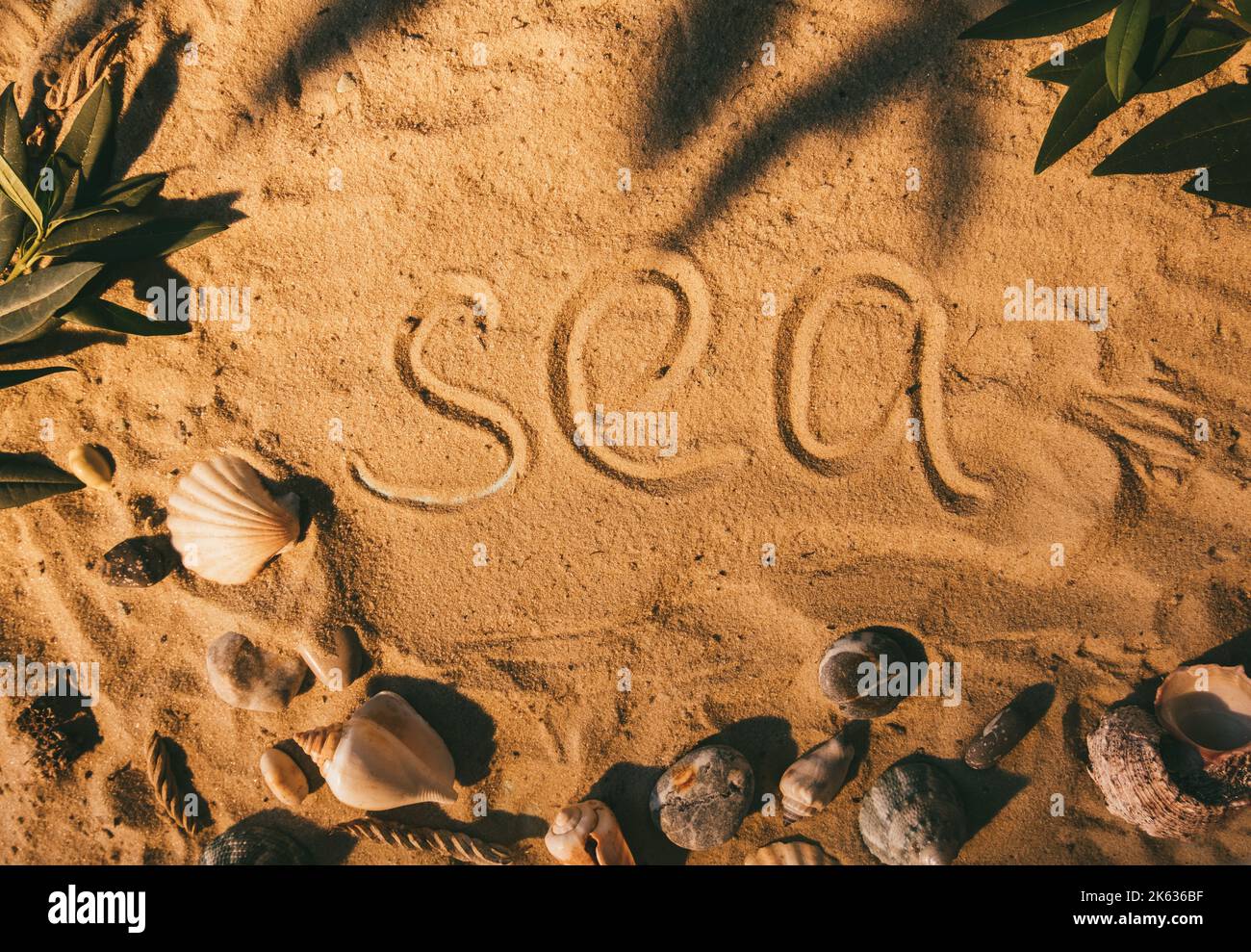 sabbia fondo estate vacanza mare parola seashell Foto Stock