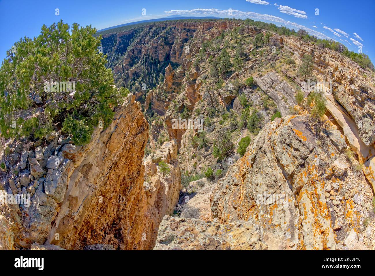 Una vista fisheye che guarda indietro a No Name Point al Grand Canyon Arizona da un profondo abisso. Foto Stock