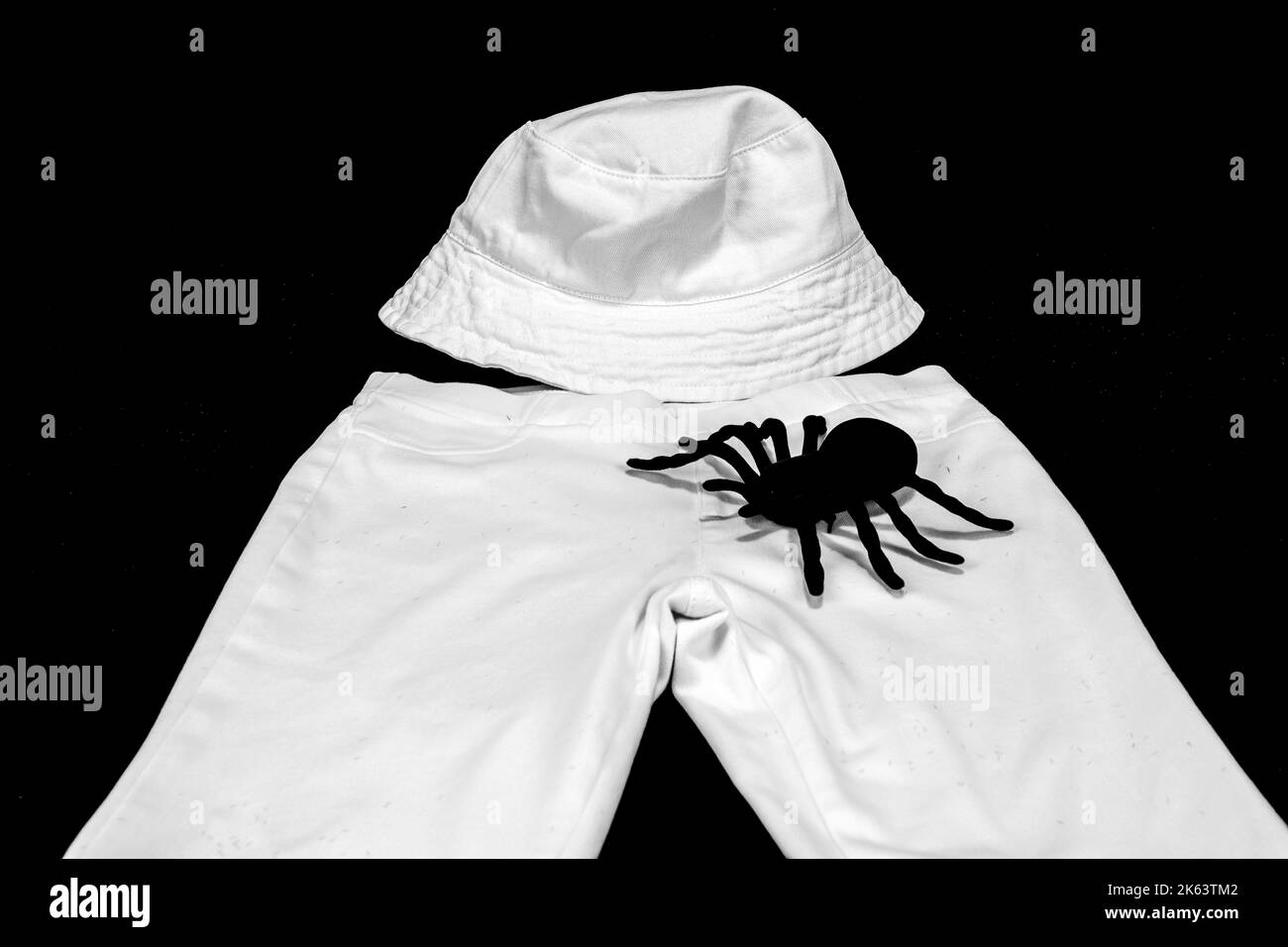 Grande Fake Spider su abbigliamento femminile Foto Stock