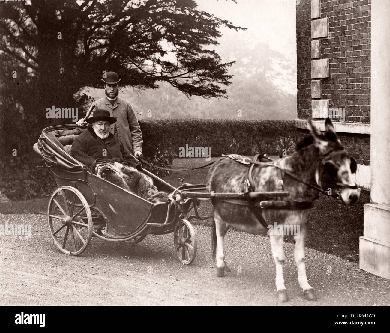 Uomo anziano in un carro a tre ruote asino e servo, fine del 19 ° secolo Foto Stock