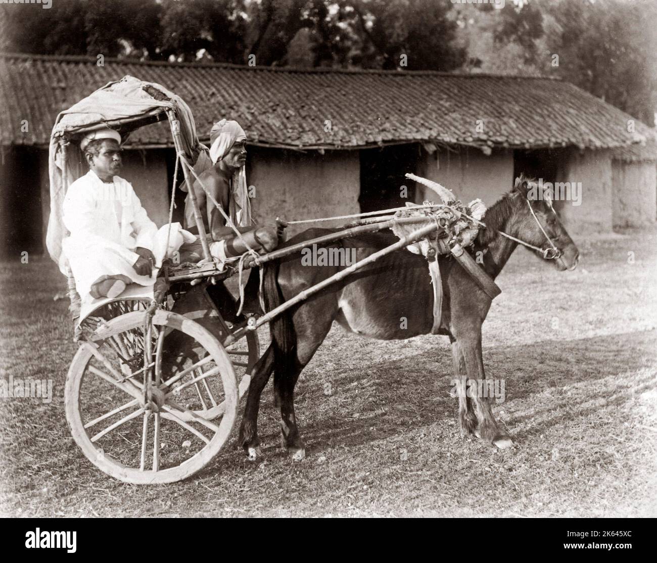 C.1890s India - pony e trappola hackney cabina del carrello Foto Stock