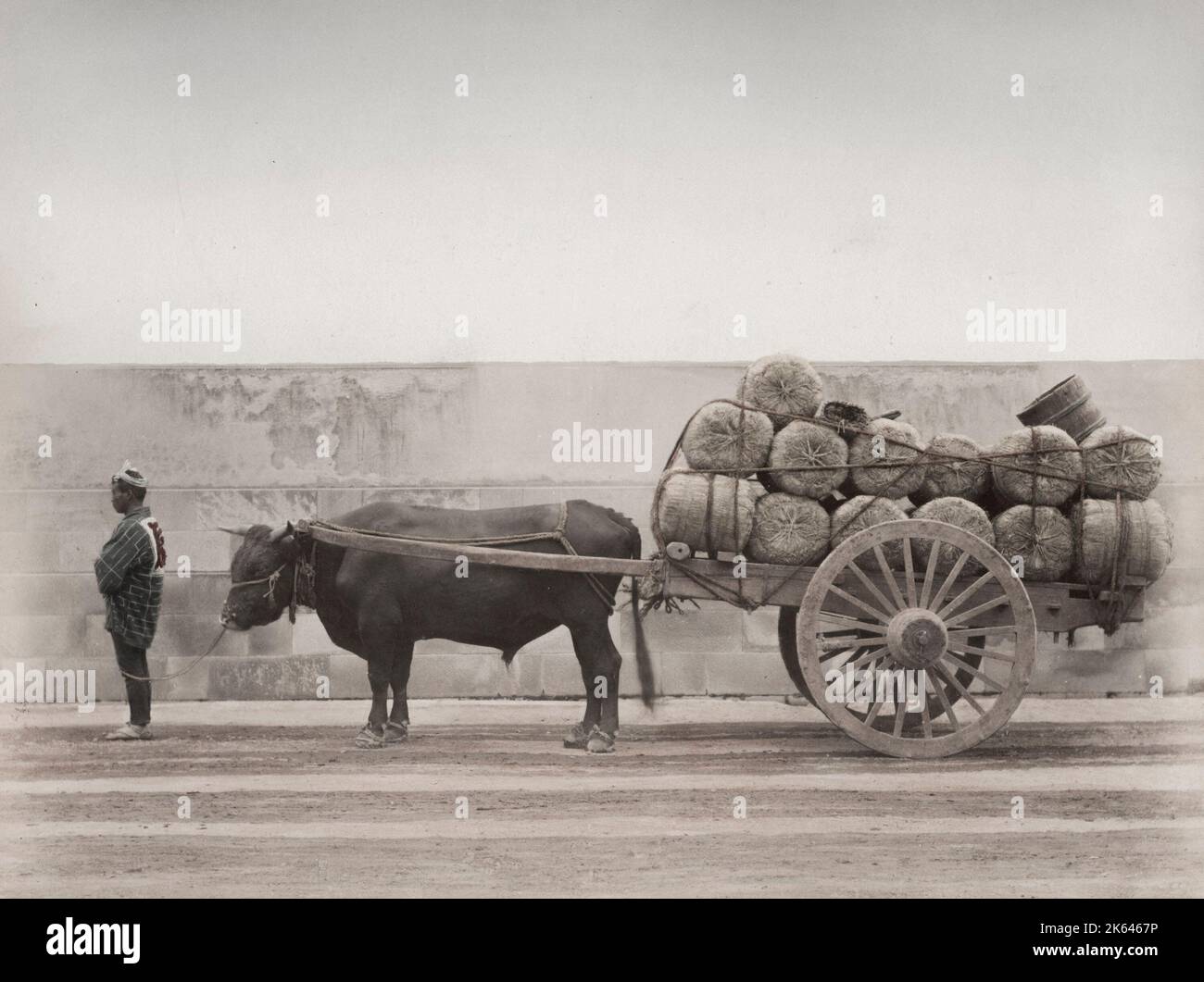 Fotografia d'annata del XIX secolo: Toro, cart di bue caricato con balle, Giappone. Foto Stock