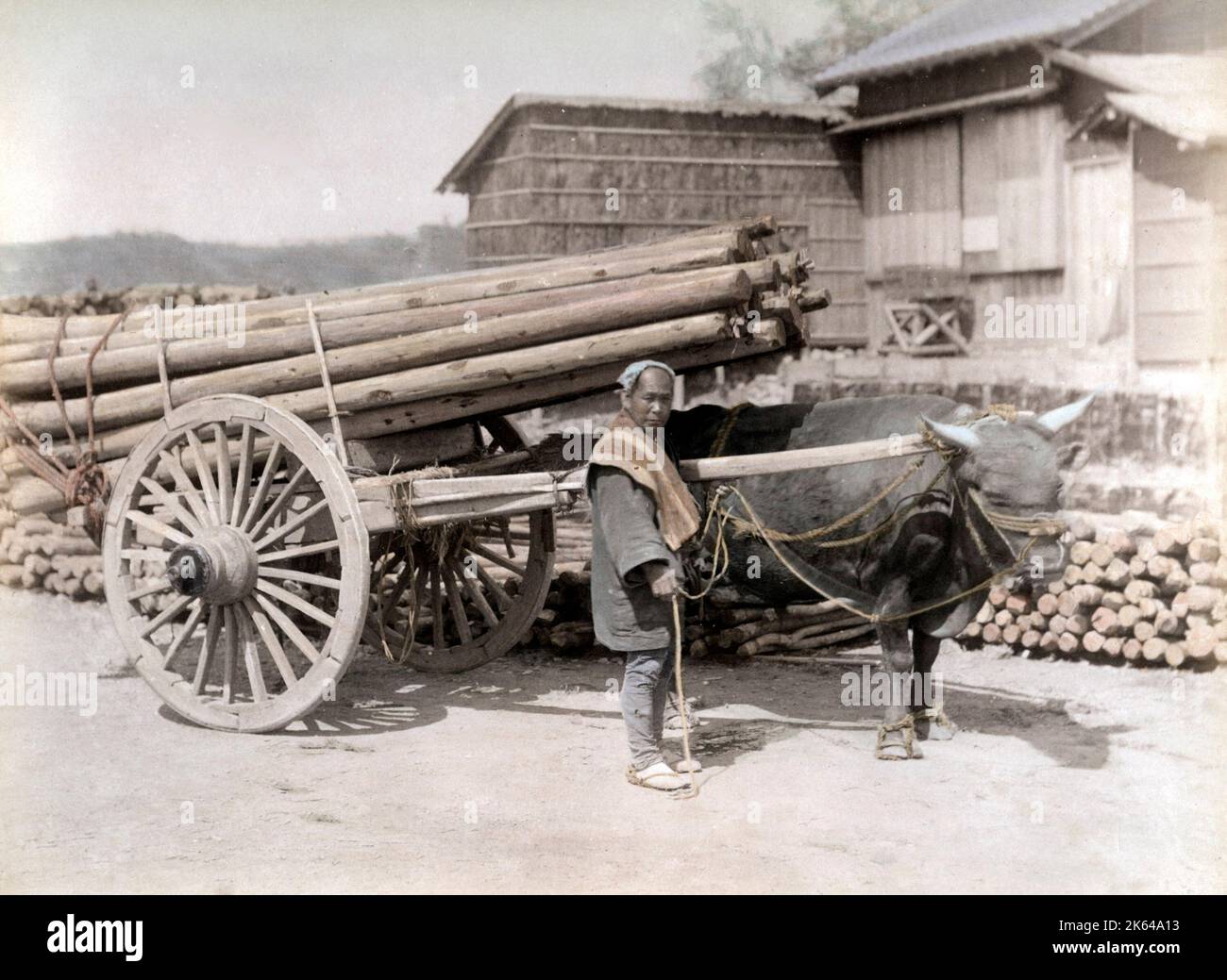 C. 1880 Giappone - carrello di giovenco tirando un carico di legname Foto Stock
