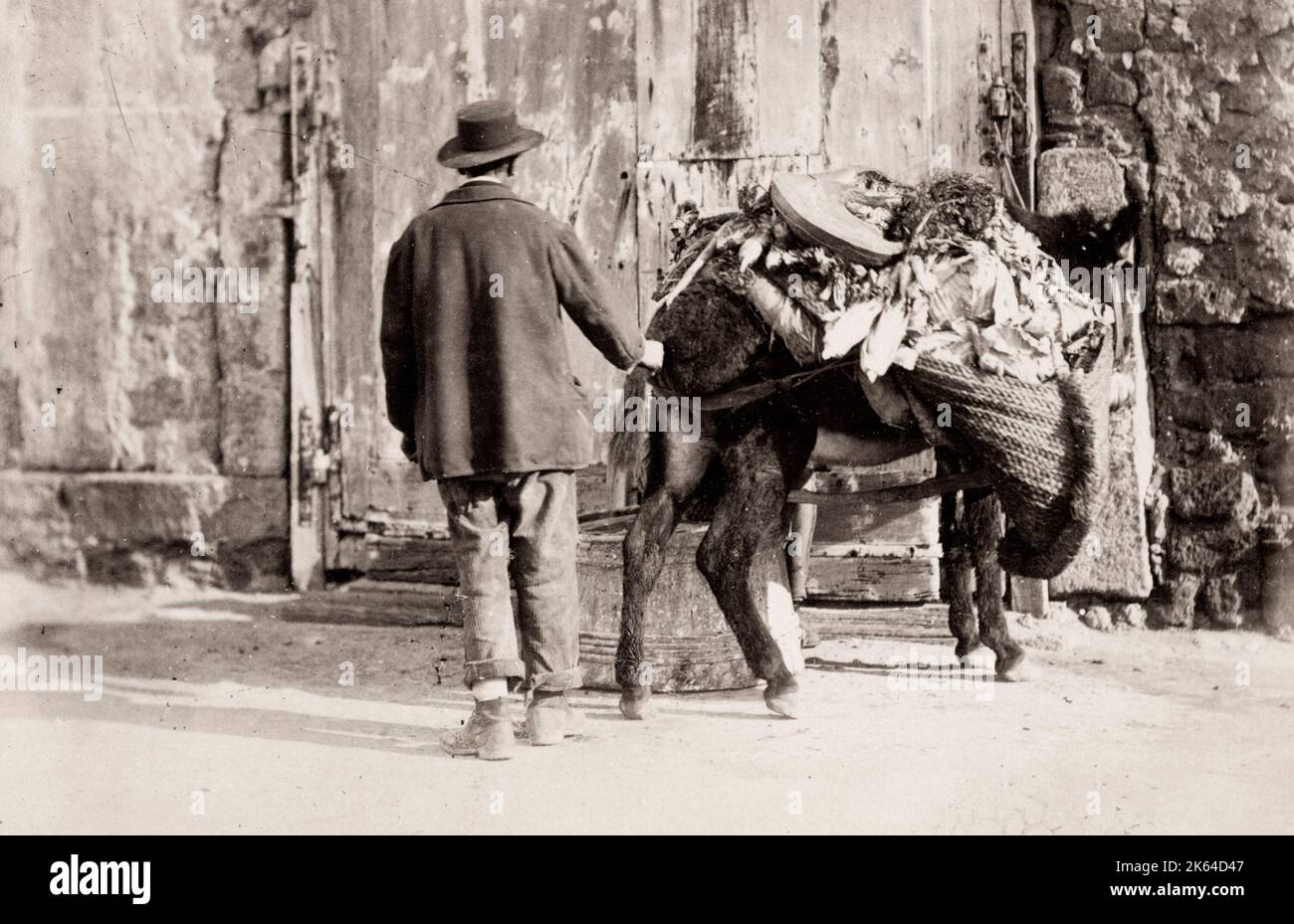 Fotografia d'epoca del XIX secolo: L'uomo e il suo asino con un carico pesante, Italia meridionale, studio Sommer. Foto Stock