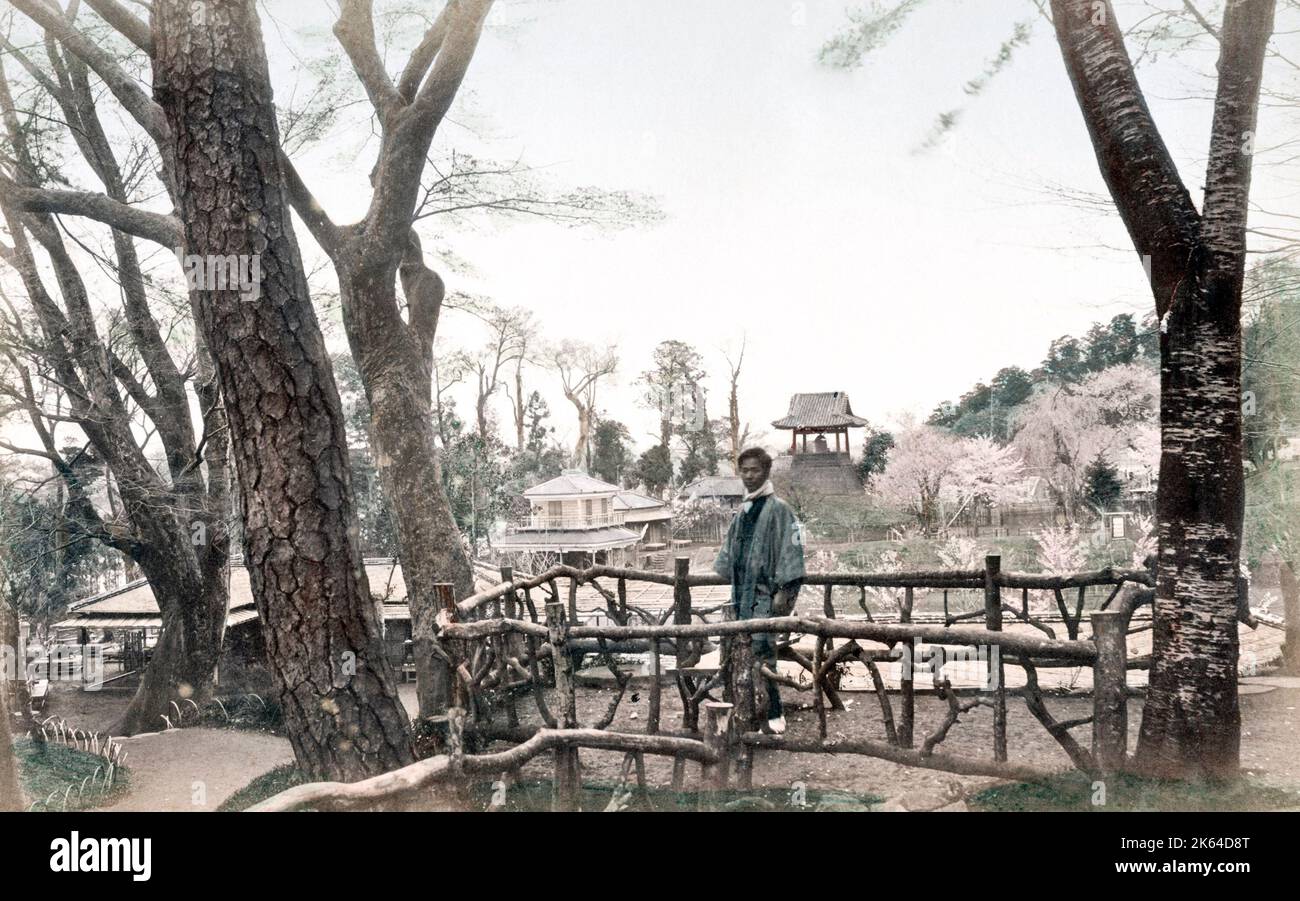 C. 1880 Giappone - la fioritura dei ciliegi, Uyeno Park a Tokyo Foto Stock