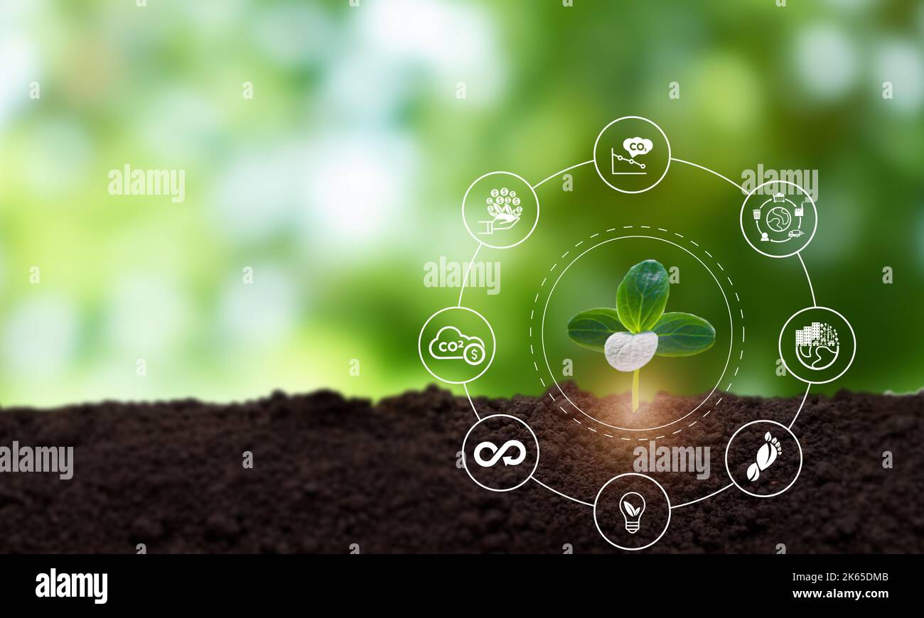 Imprese verdi e sviluppo sostenibile. Salvare la terra, salvare l'ambiente, salvare il pianeta pulito, concetto di ecologia. Giornata mondiale della terra. Pianeta protetto Foto Stock
