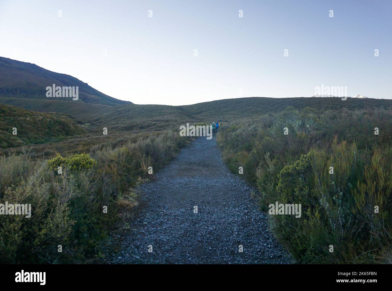 Donna bionda singola che cammina al Parco Nazionale di Tongariro in Nuova Zelanda. Foto Stock