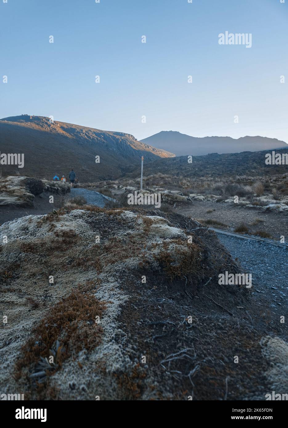Donna bionda singola che cammina al Parco Nazionale di Tongariro in Nuova Zelanda. Foto Stock