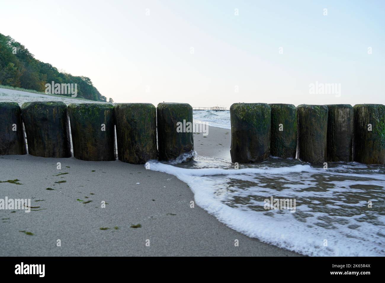 Costa baltica su Usedom con groynes di legno. Mar Baltico in serata. Foto Stock