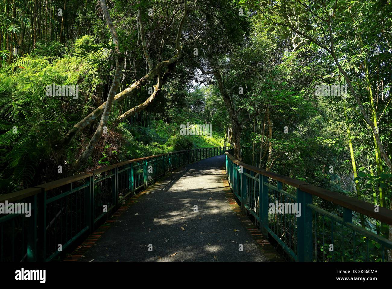 Sun Moon Lake National Scenic Area, Yuchi Township, Nantou County, Taiwan Foto Stock