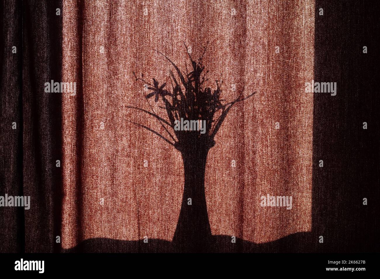 L'ombra di un vaso con fiori sulle tende. La silhouette nera di un vaso con un bouquet di fiori sullo sfondo di tessuto marrone Foto Stock