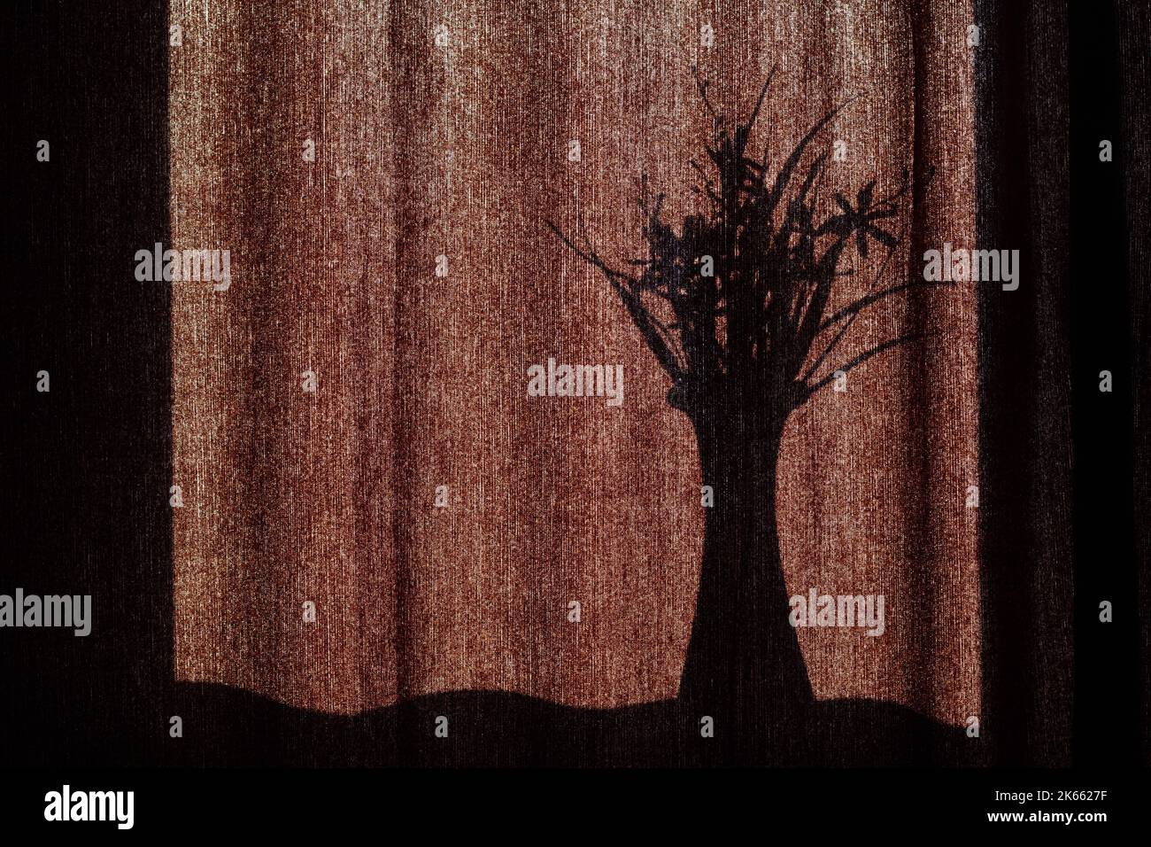 L'ombra di un vaso con fiori sulle tende. La silhouette nera di un vaso con un bouquet di fiori sullo sfondo di tessuto marrone Foto Stock