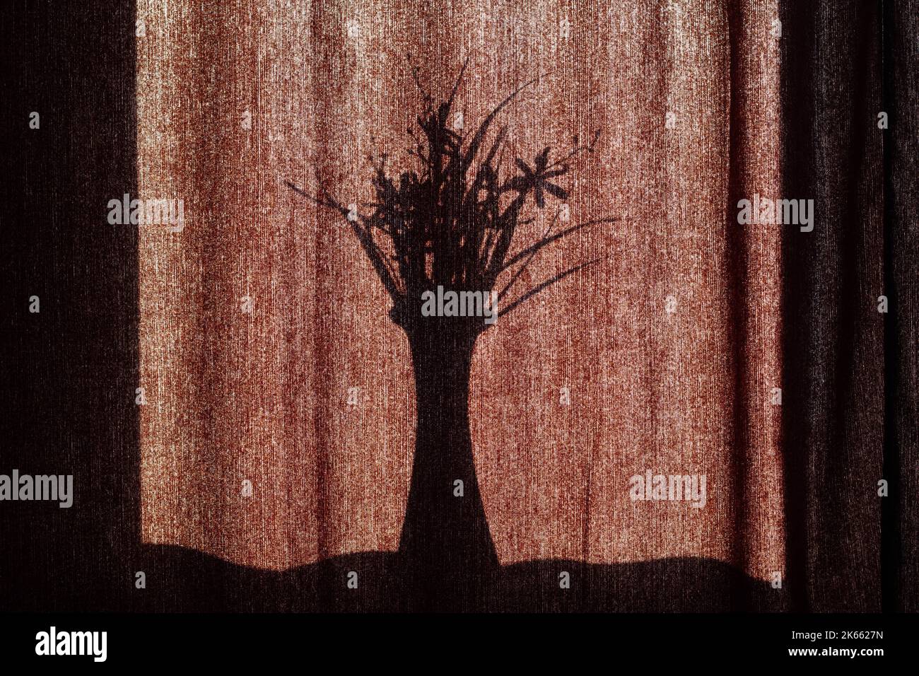L'ombra di un vaso con fiori sulle tende. La silhouette nera di un vaso con un bouquet di fiori sullo sfondo di tessuto marrone Foto Stock