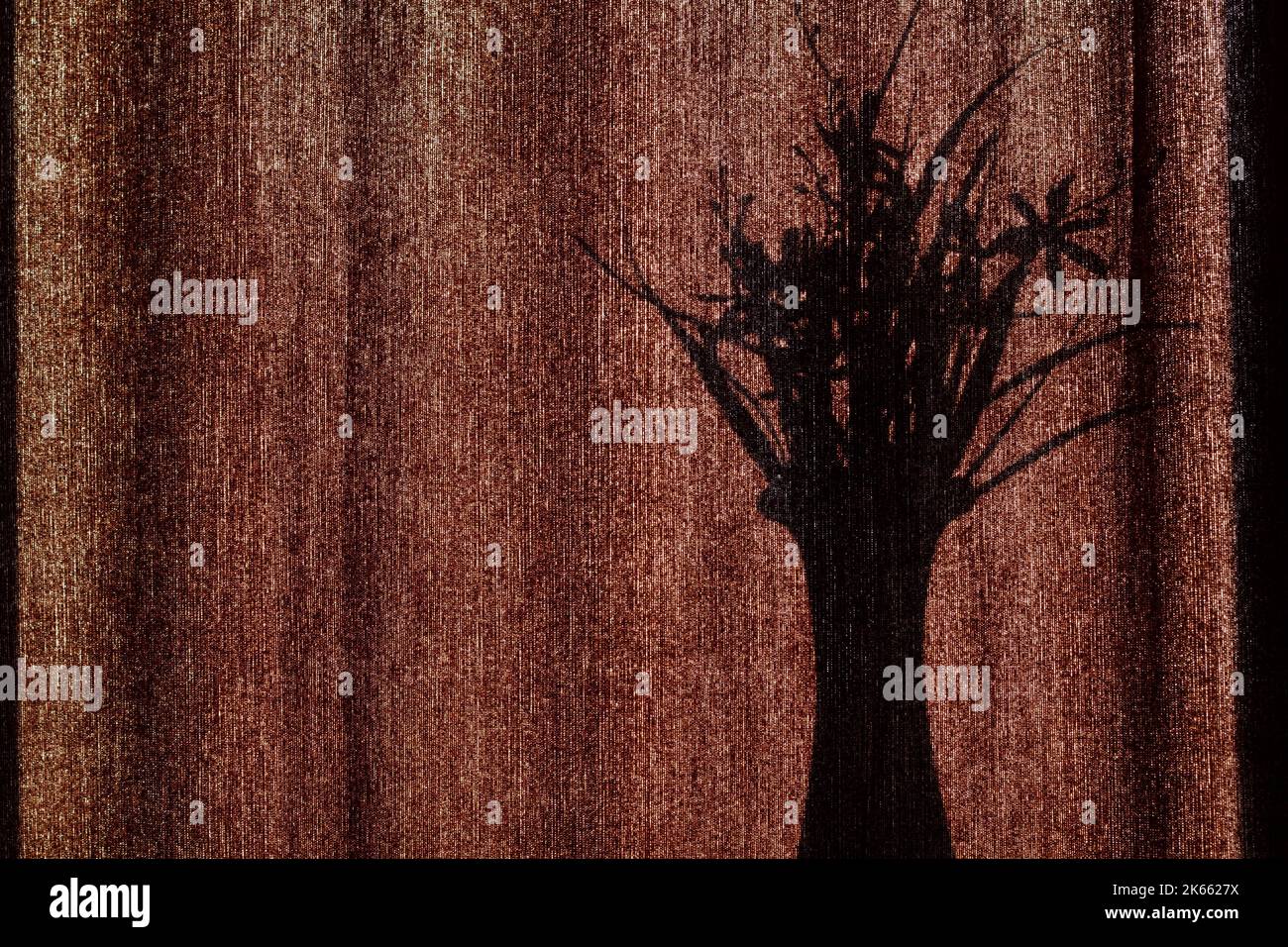 L'ombra di un vaso con fiori sulle tende. La silhouette nera di un vaso con un bouquet di fiori sullo sfondo di tessuto marrone Foto Stock